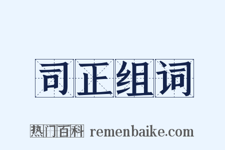 司正组词是什么意思的图片
